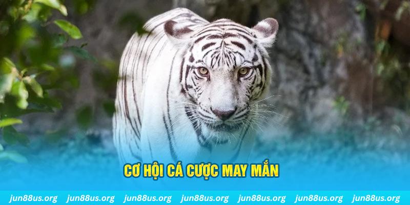 đăng nhập poker uy tín