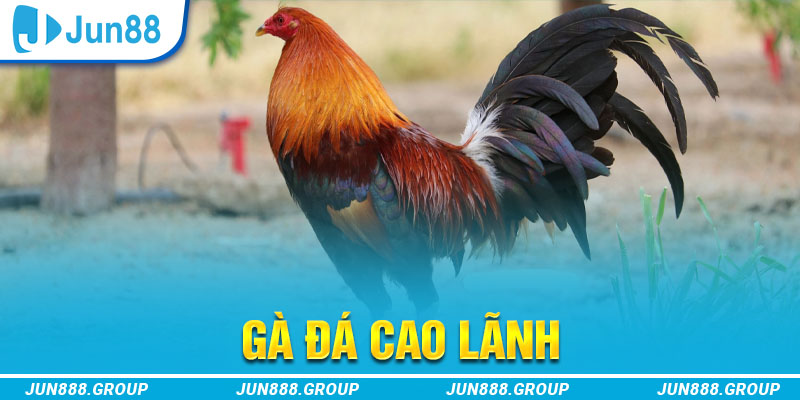 jum88 how to play roulette at casino