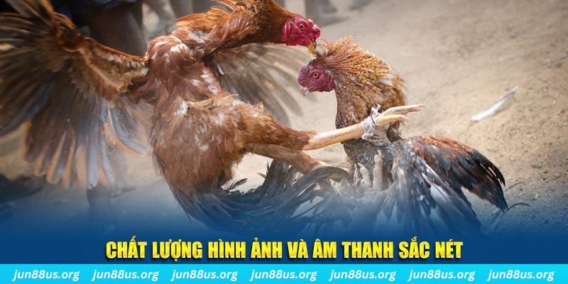 jum88 nổ hũ may mắn