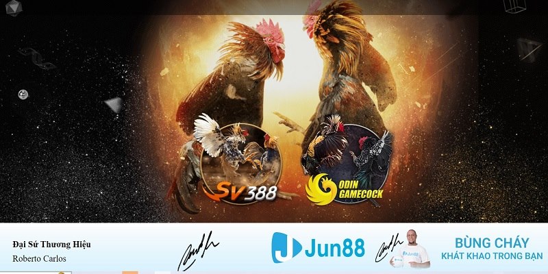 jum88 xổ số miền nam thứ bảy hàng tuần