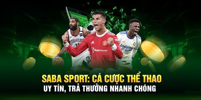 jum88 chổi lông gà