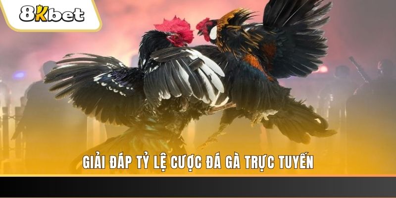 jum88 quay thử xổ số miền nam