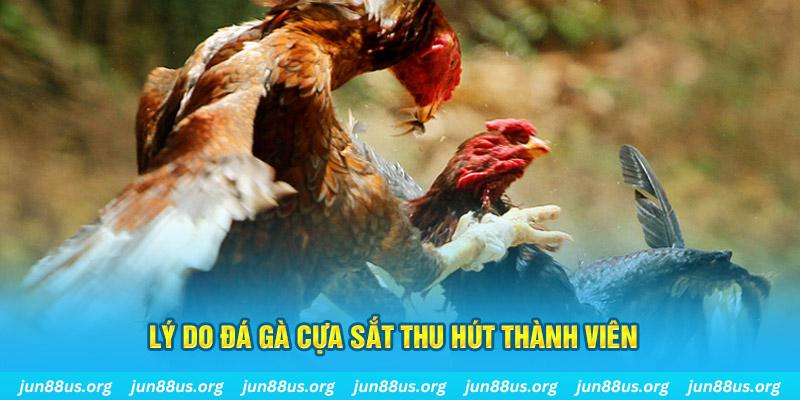 jum88 game đánh bài đổi thẻ điện thoại trên máy tính