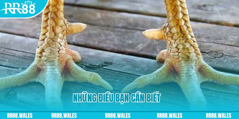 jum88 cá cược thể thao trực tuyến kto