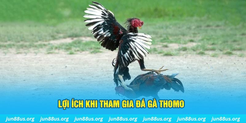 jum88 đăng nhập poker